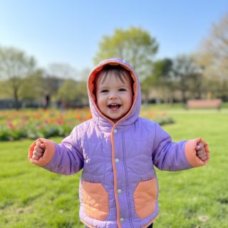 Steppelt anyag Graphic square lilac apricot