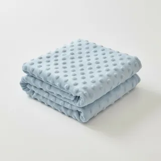 Minky light blue