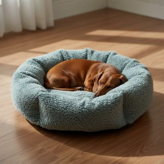 Sherpa seafoam green