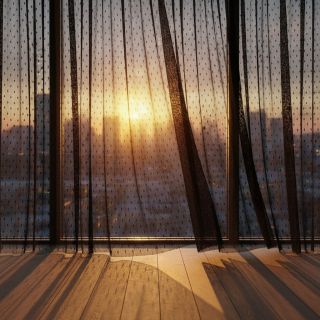 Tüll TÜTÜ DOT black