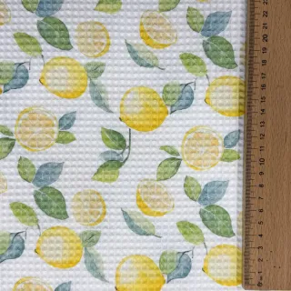 Waffle Lemons digital print