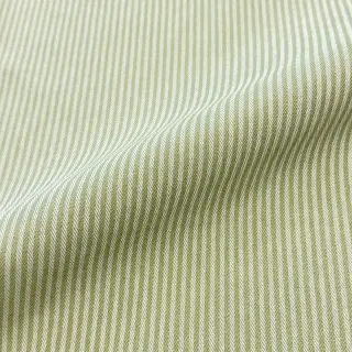 Dekorációs anyag DOBBY Colored stripe light green