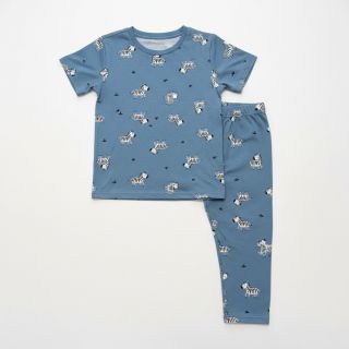 Pamutvászon FLANNEL Zebras blue