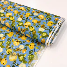 Viszkóz RAYON POPLIN Fruity design A