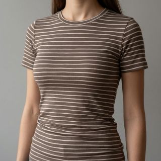 Jersey Stripes taupe