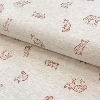 Jersey Hidden foxie ecru melange