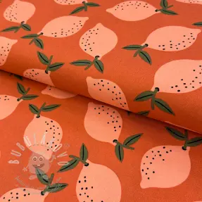 Dekorációs anyag Fruits design F