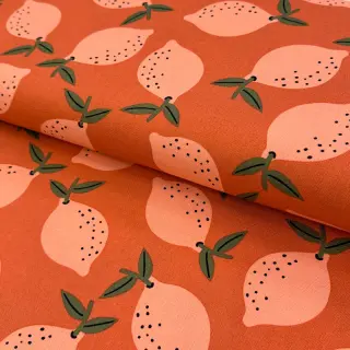 Dekorációs anyag Fruits design F