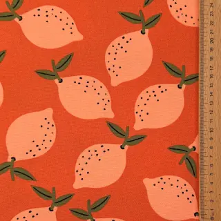 Dekorációs anyag Fruits design F