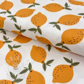 Dekorációs anyag Fruits design E