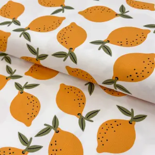 Dekorációs anyag Fruits design E
