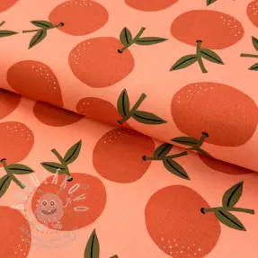 Dekorációs anyag Fruits design D