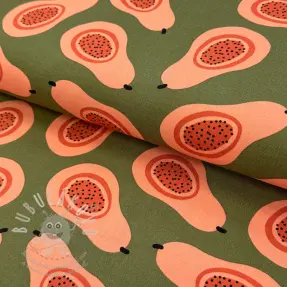 Dekorációs anyag Fruits design B