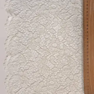 Csipke Scallop off white