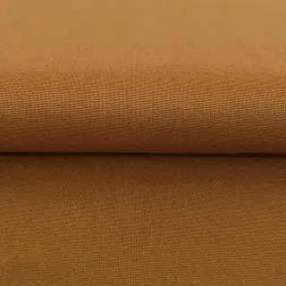 CANVAS mustard