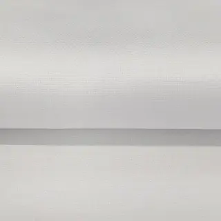 CANVAS white
