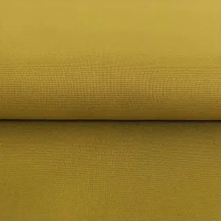 CANVAS curry