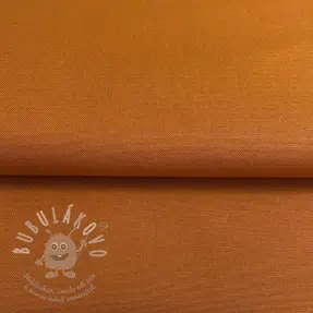 CANVAS rust