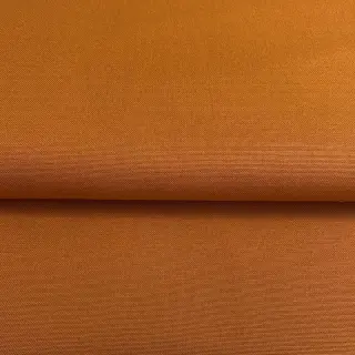 CANVAS rust