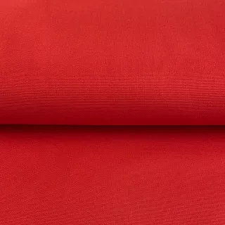 CANVAS tomato