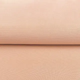 CANVAS peach