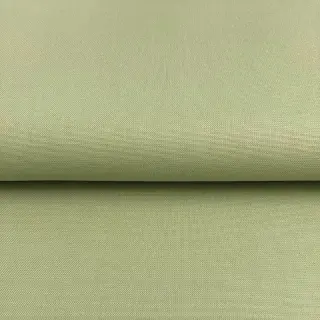 CANVAS dark mint