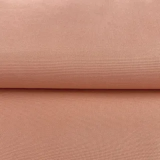 CANVAS blush