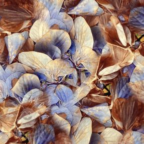 Viszkóz RADIANCE Dry flowers aqua digital print