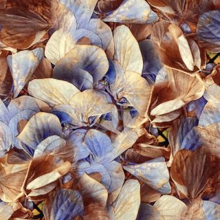 Viszkóz RADIANCE Dry flowers aqua digital print
