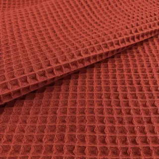 Waffle terra