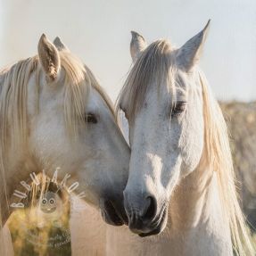 Műbőr KARIA Horse love PANEL