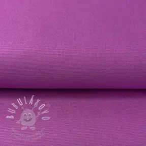 CANVAS violet