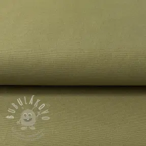 CANVAS olive