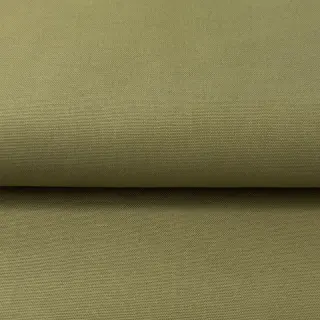CANVAS olive