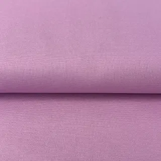 CANVAS purple