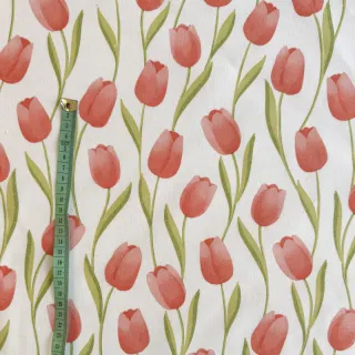 Dekorációs anyag premium Hand Drawn Tulip