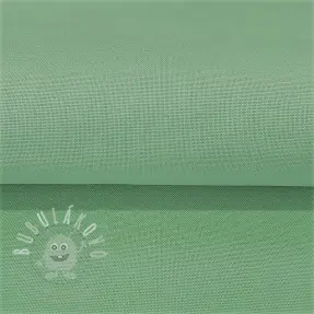 CANVAS mint