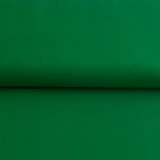 CANVAS green
