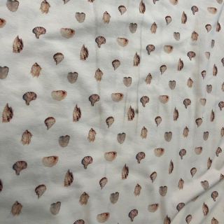 Jersey Baby Seashells digital print II.osztály