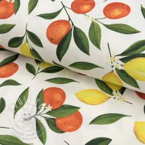 Dekorációs anyag Teflonos Citrus Fruit