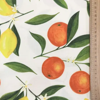 Dekorációs anyag Teflonos Citrus Fruit