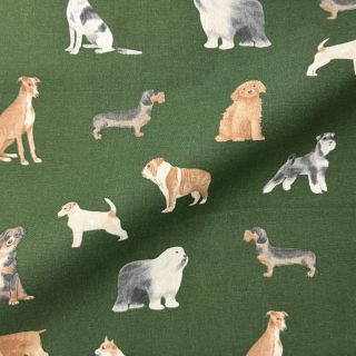 Dekorációs anyag premium Dog Breed Mix