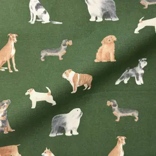 Dekorációs anyag premium Dog Breed Mix