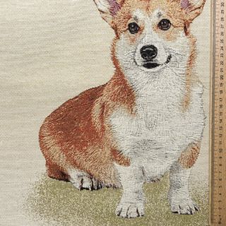 Dekorációs anyag GOBELIN PREMIUM Sitting Corgi Dog PANEL