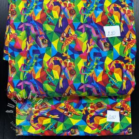 Digi print jersey csomag 2134